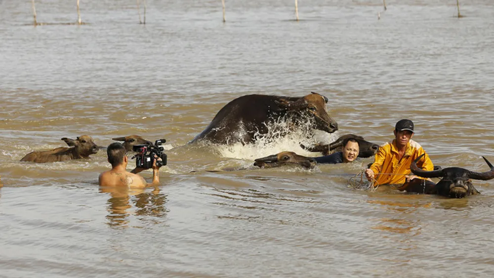 Phim tài liệu ngắn Len Trâu của đạo diễn, quay phim trẻ Bá Phúc  đoạt giải Phim tài liệu đặc sắc năm 2017 của Hội Điện ảnh TPHCM