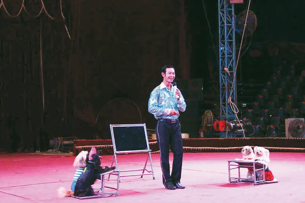  Vui nhộn xiếc chó ảnh 1