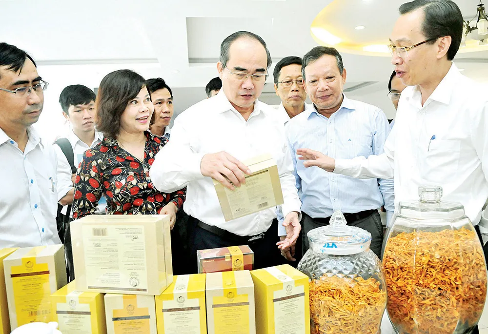 Nông nghiệp đô thị tạo “vàng” ảnh 1