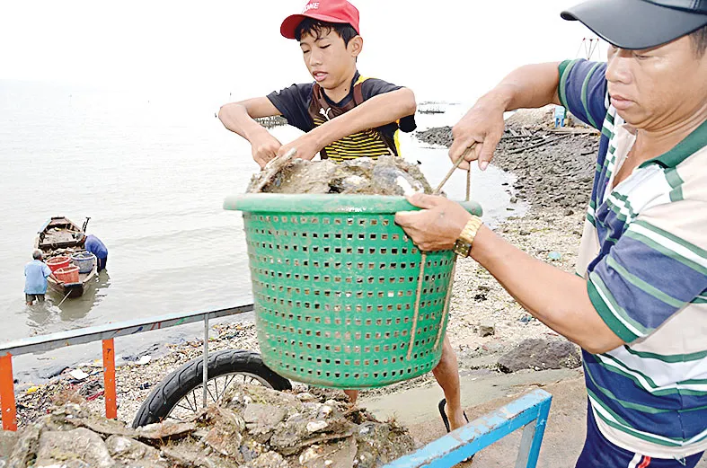 Khởi sắc ở xã đảo nghèo ảnh 5