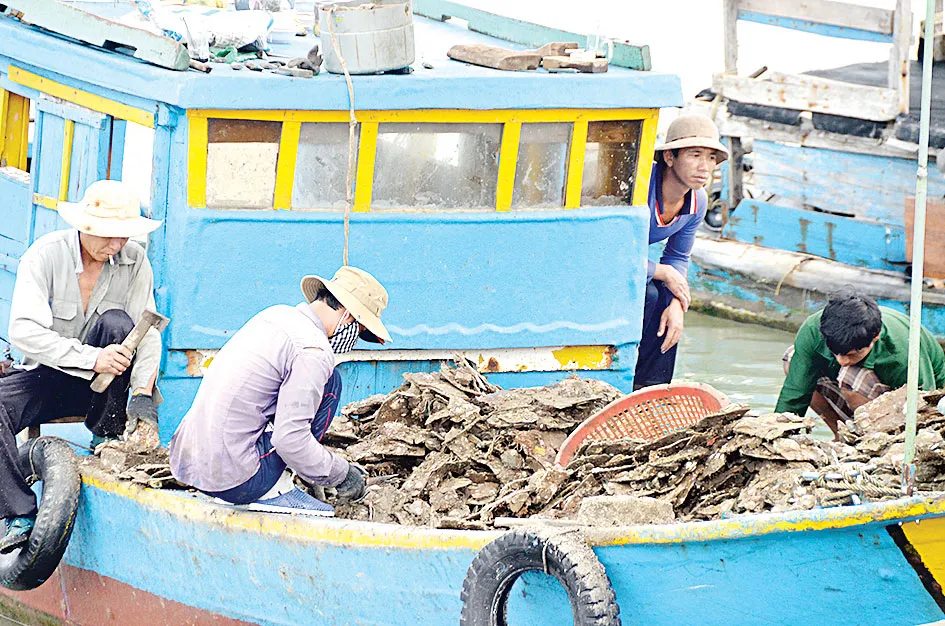 Khởi sắc ở xã đảo nghèo ảnh 4