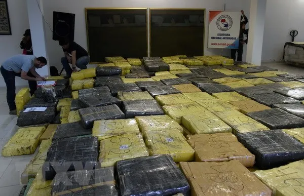 Cảnh sát Paraguay trưng bày số cần sa thu giữ trong các chiến dịch truy quét tội phạm ma túy ở Guayaibi. Ảnh: Nguồn TTXVN