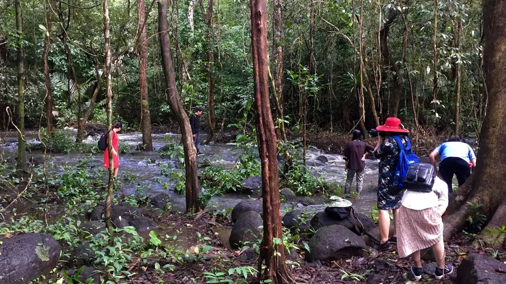 Suối giữa rừng Cát Tiên