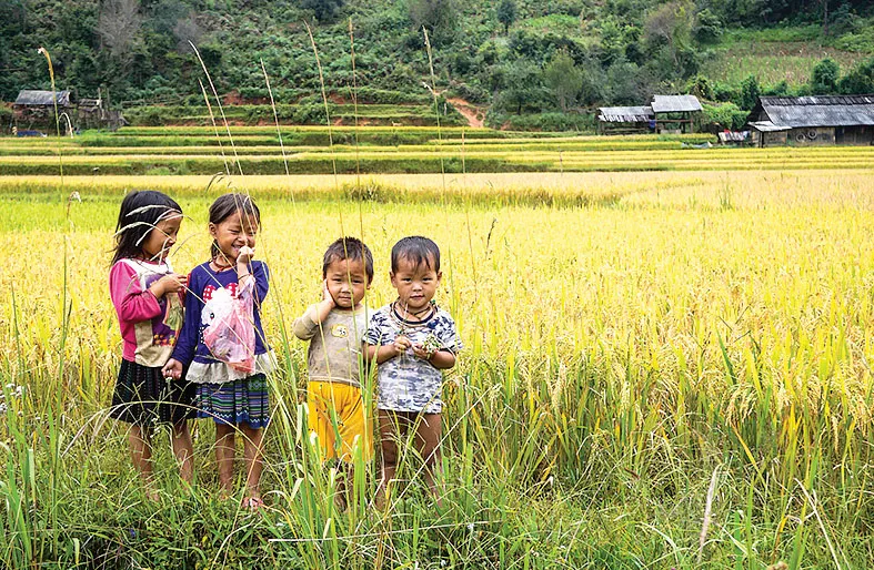 Mùa no ấm trên quê hương A Phủ ảnh 5