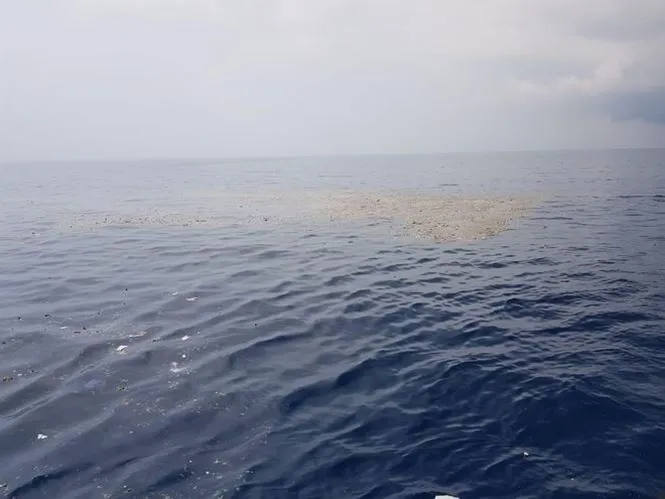 Máy bay của hãng Lion Air chở 188 hành khách rơi xuống biển ảnh 2