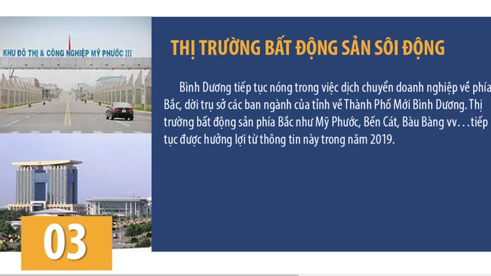 Dự báo thị trường bất động sản tại Bình Dương 2019 ảnh 3