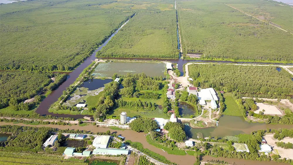 “Rừng thuốc” phủ xanh trên vùng đất chết              Ảnh: HOÀNG HÙNG