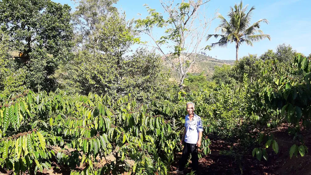 Đời sống người dân xã Đắk Ui đổi thay nhờ chuyển đổi cơ cấu cây trồng