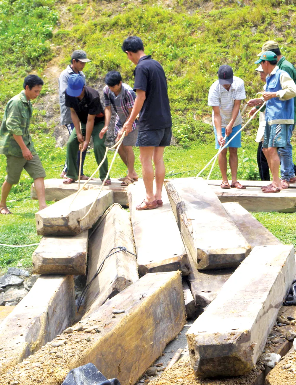 Biên cương bình yên ảnh 6