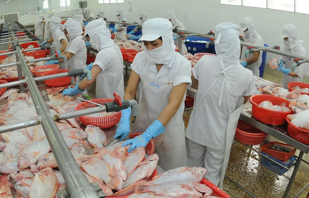 Cá, một trong những mặt hàng có thể thay thế thịt heo. Ảnh: THÀNH TRÍ