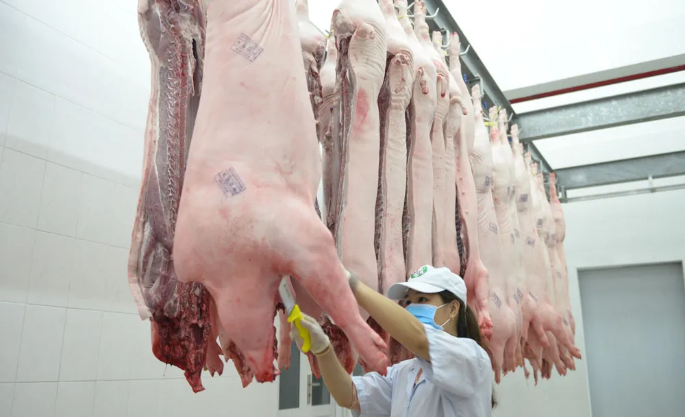 Vui Tết đoàn viên cùng thịt heo thảo mộc Sagri