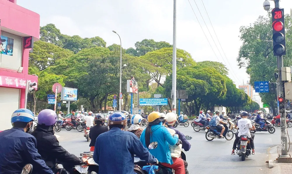 Bất chấp tín hiệu đèn đỏ, nhiều phương tiện vẫn lưu thông