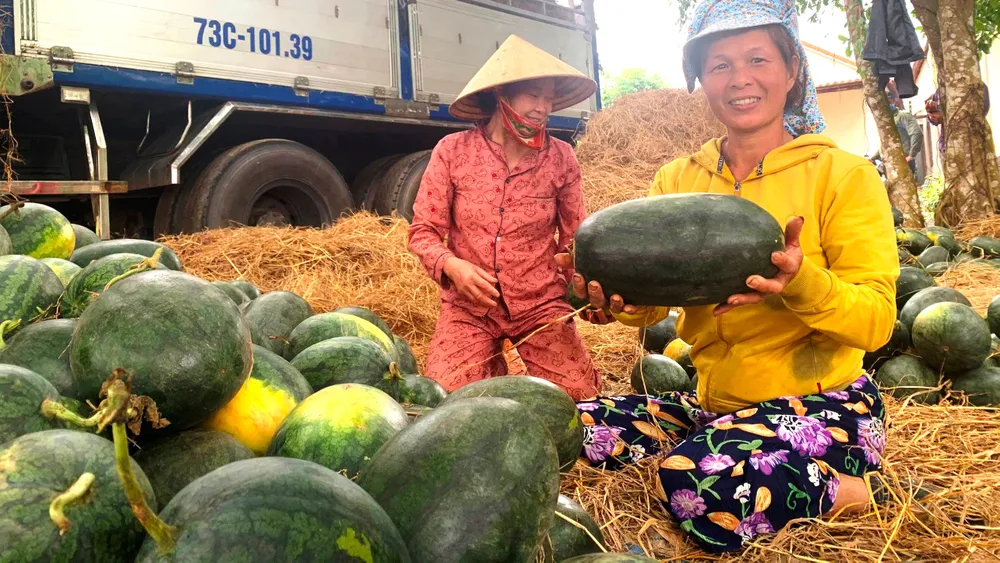 Miền Trung: Nông sản được mùa, được giá