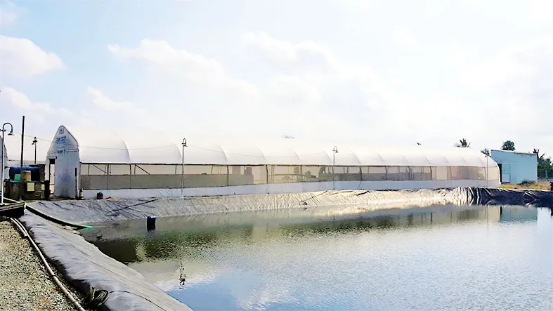 Mô hình BIOSIPEC của ADM - giải pháp nuôi tôm  thâm canh tiết kiệm nước và bền vững