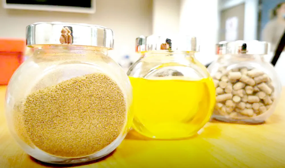 Các sản phẩm của Ynsect được làm từ loài sâu bột