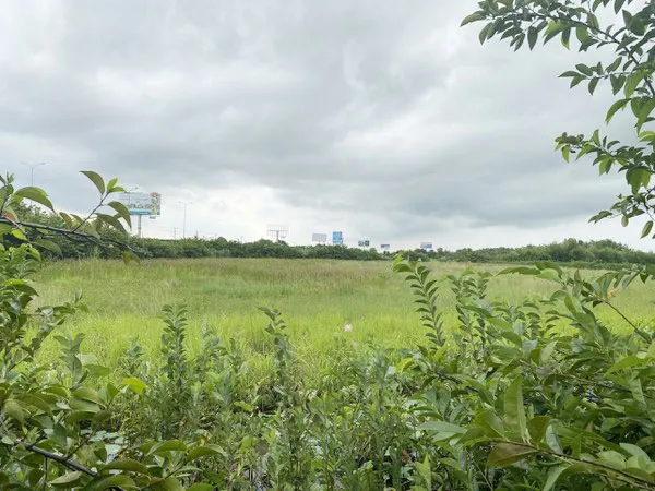 Dự án Khu dân cư dịch vụ tại xã An Phước, huyện Long Thành,  nơi gia đình ông Thanh bị tố tìm cách chiếm đoạt