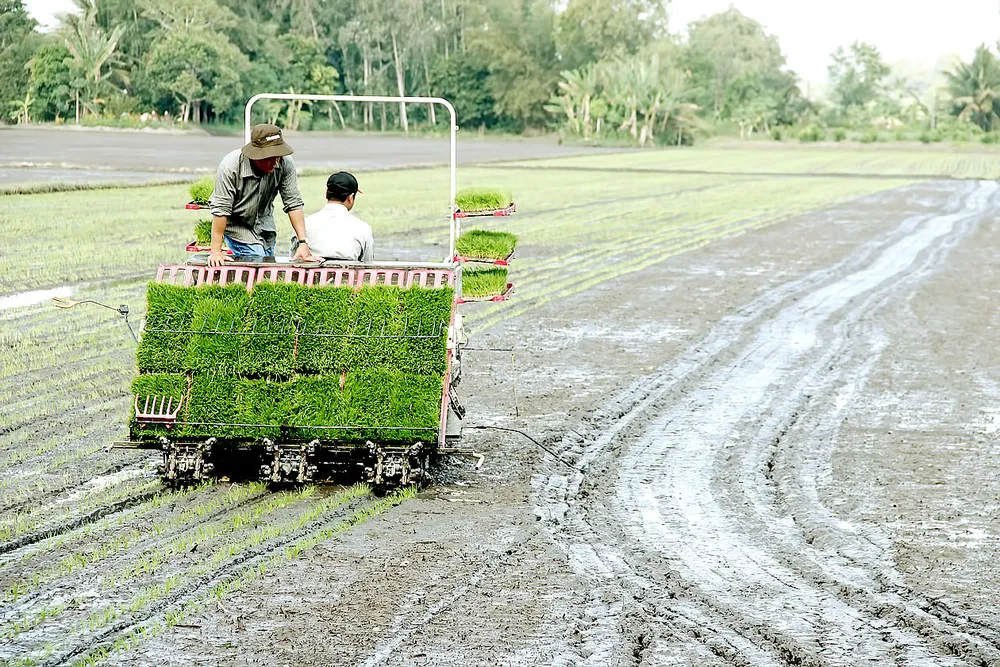 Nông nghiệp là thước đo sự bền vững của quốc gia ảnh 2