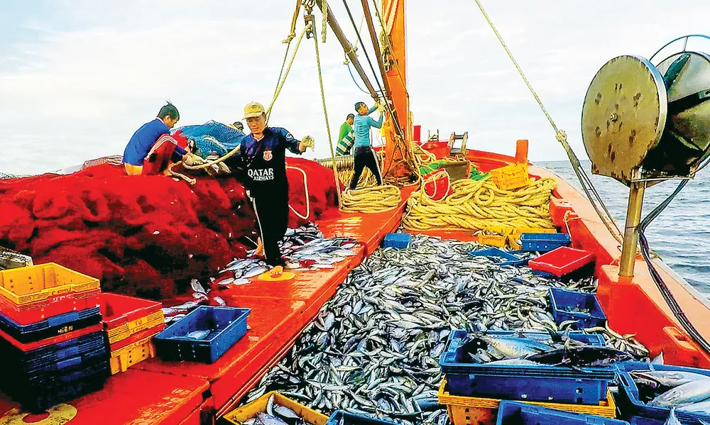 Nhiều sáng kiến trong đánh bắt  trên biển giúp ngư dân Hoài Nhơn,  tỉnh Bình Định khá giả hơn. Ảnh: ĐẶNG VĂN HẢI