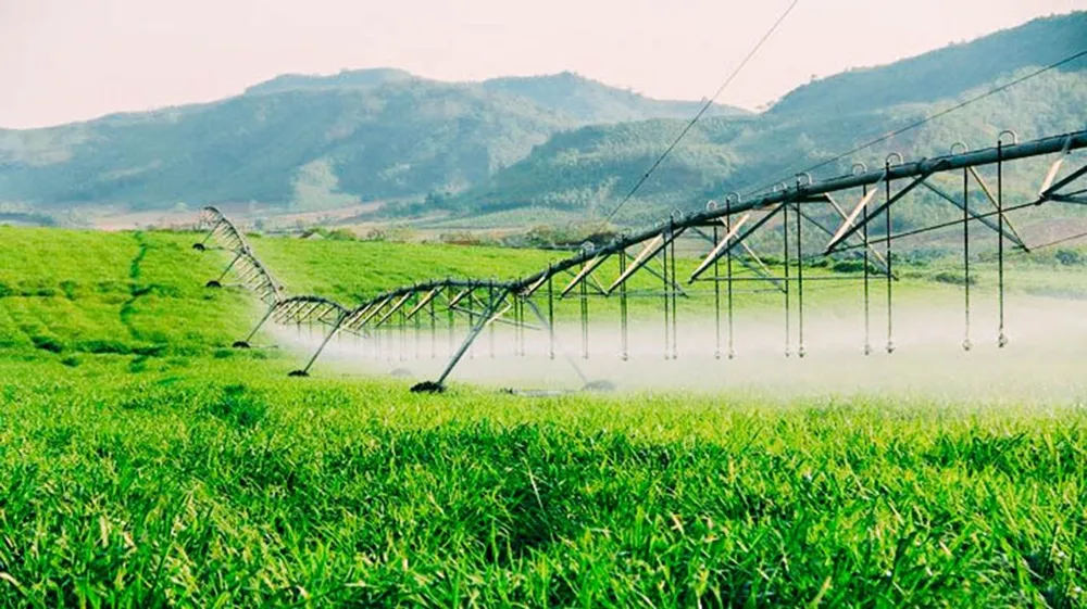 Tập đoàn TH: Ứng dụng công nghệ 4.0 vào cụm trang trại đạt kỷ lục thế giới ảnh 3