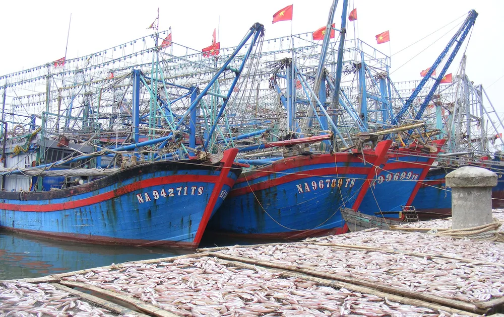 Hàng loạt tàu đánh cá tại làng biển xã Quỳnh Lập  (thị xã Hoàng Mai, Nghệ An) nằm bờ. Ảnh: DUY CƯỜNG