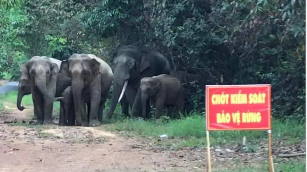 Phản hồi bài viết Băn khoăn vị trí dự kiến xây cầu Mã Đà: Nên điều chỉnh hướng tuyến tránh vùng lõi khu bảo tồn  ảnh 3