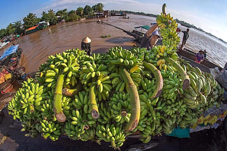 Ghe thương hồ xuôi ngược theo sông nước miền Tây Nam bộ.  Ảnh: BÙI QUỐC SỸ