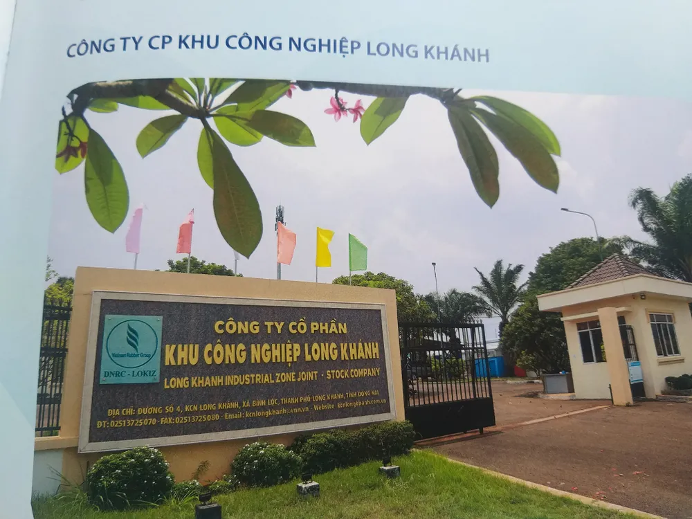 20 năm đồng hành cùng doanh nghiệp ảnh 3