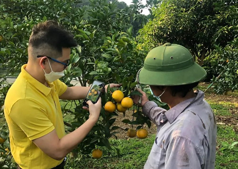 Nhân viên Postmart.vn tư vấn cho bà con nông dân  ở xã Long Tân, huyện Đất Đỏ (Bà Rịa - Vũng Tàu)  