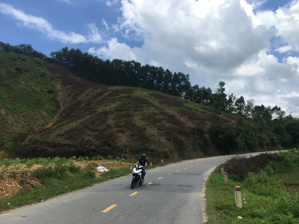 Những vạt rừng ở huyện Kim Bôi (Hòa Bình)  đã và đang bị thu hoạch non