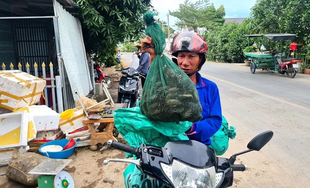 Không gian mưu sinh mùa nước nổi miền Tây ảnh 5