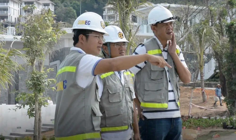 Những đóa hoa dơn thóc nở trong sương gió ảnh 4