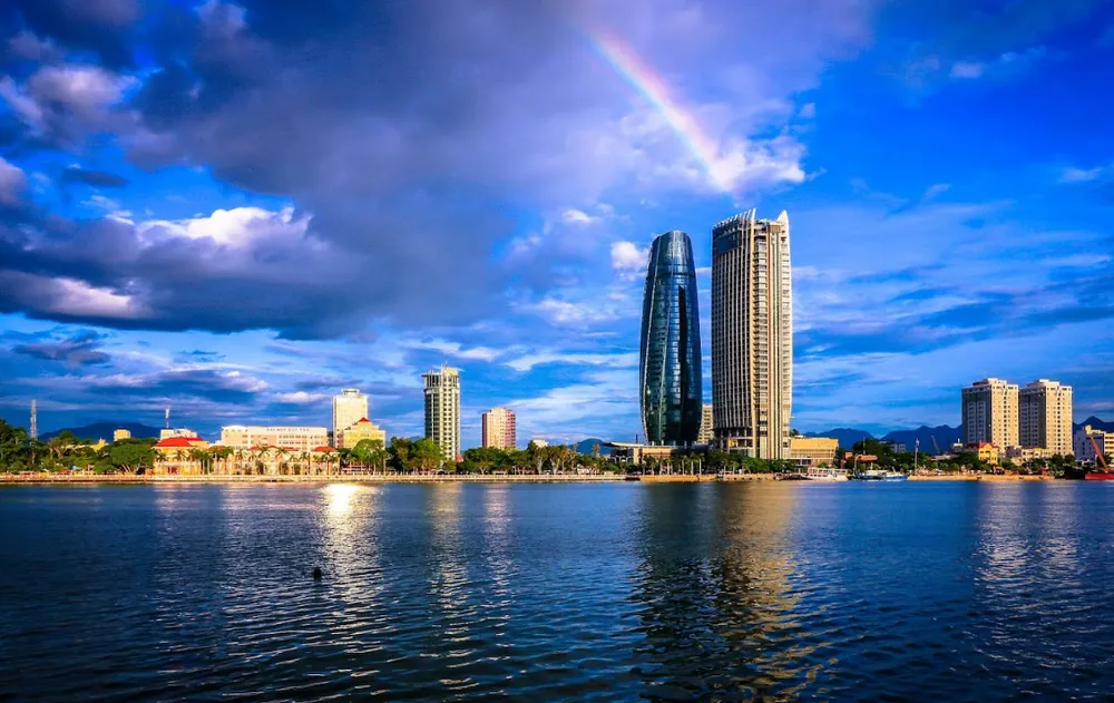 Những đóa hoa dơn thóc nở trong sương gió ảnh 3