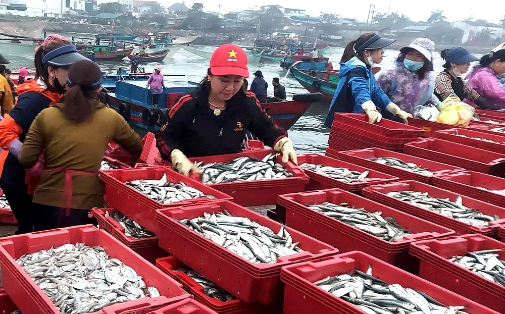 Ở chợ bến cá Nghi Thủy, người lao động phần lớn là phụ nữ