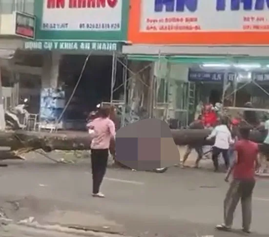 Cây cổ thụ ngả, đè vào người đi đường Cây cổ thụ ngả, đè vào người đi đường