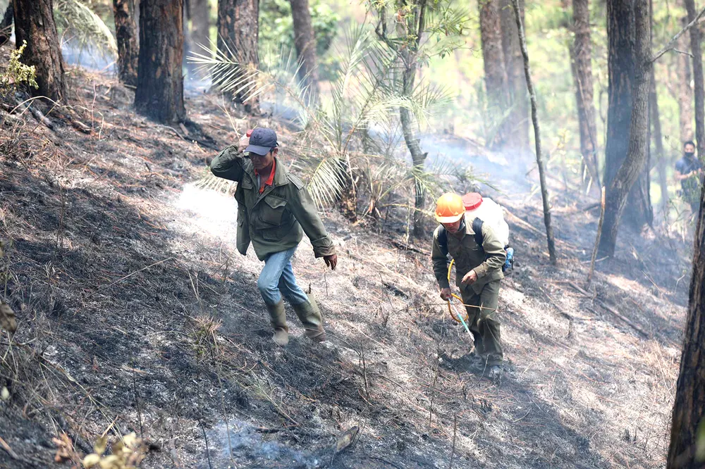 Lực lượng giữ rừng TP Đà Lạt (Lâm Đồng) vác từng can nước lên đồi cao để xử lý các đám cháy thực bì nhỏ