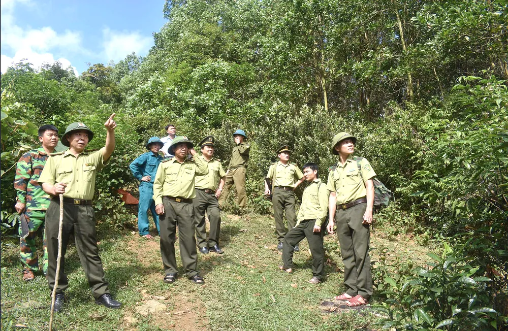 Lực lượng kiểm lâm, bảo vệ giữ rừng, dân quân huyện Tuyên Hóa (Quảng Bình) tuần tra rừng