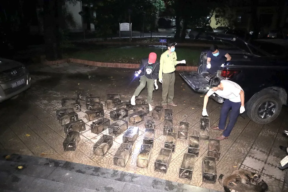 Cứu hộ thú rừng khỏi bẫy của thợ săn