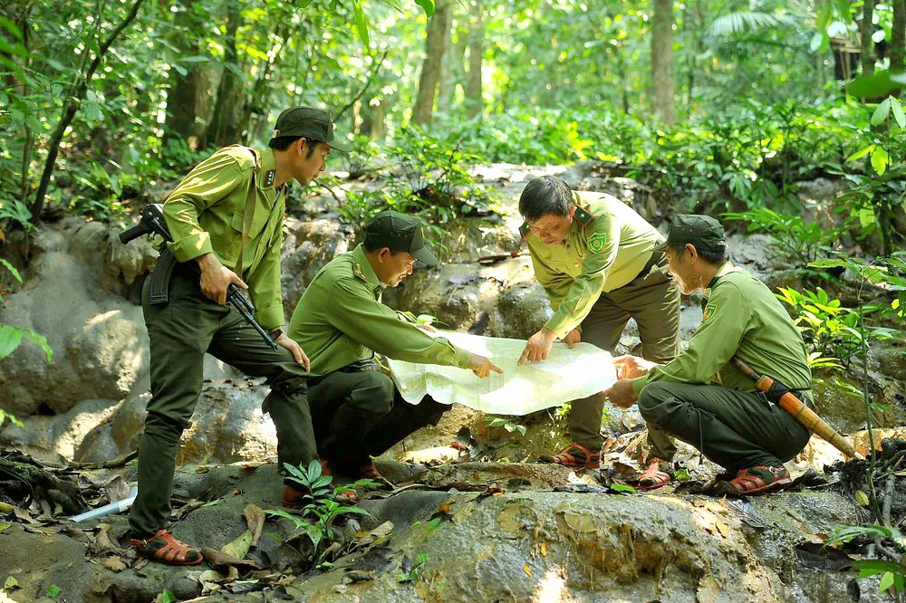 Hoạt động tuần tra, bảo vệ rừng của lực lượng kiểm lâm
