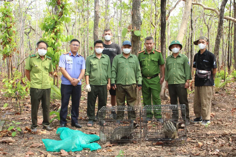 Thả động vật hoang dã về môi trường tự nhiên