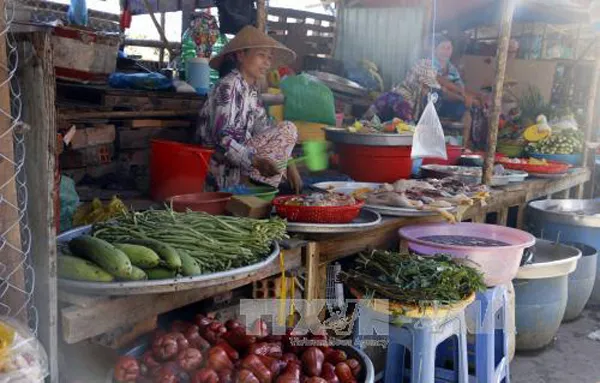 Sau hỏa hoạn, nạn ruồi lại hoành hành tại Công ty Kwong Lung – Meko  ảnh 1