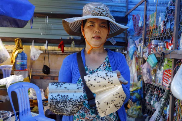 Sau hỏa hoạn, nạn ruồi lại hoành hành tại Công ty Kwong Lung – Meko  ảnh 2