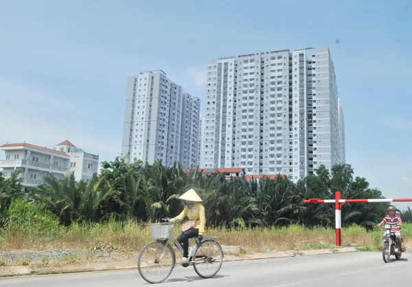 Rà soát, trả lại quyền lợi hợp pháp của người dân trong vùng quy hoạch  ảnh 2