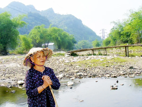 Những dòng sông chết ngạt ảnh 1