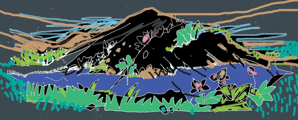 Hương của núi ảnh 1