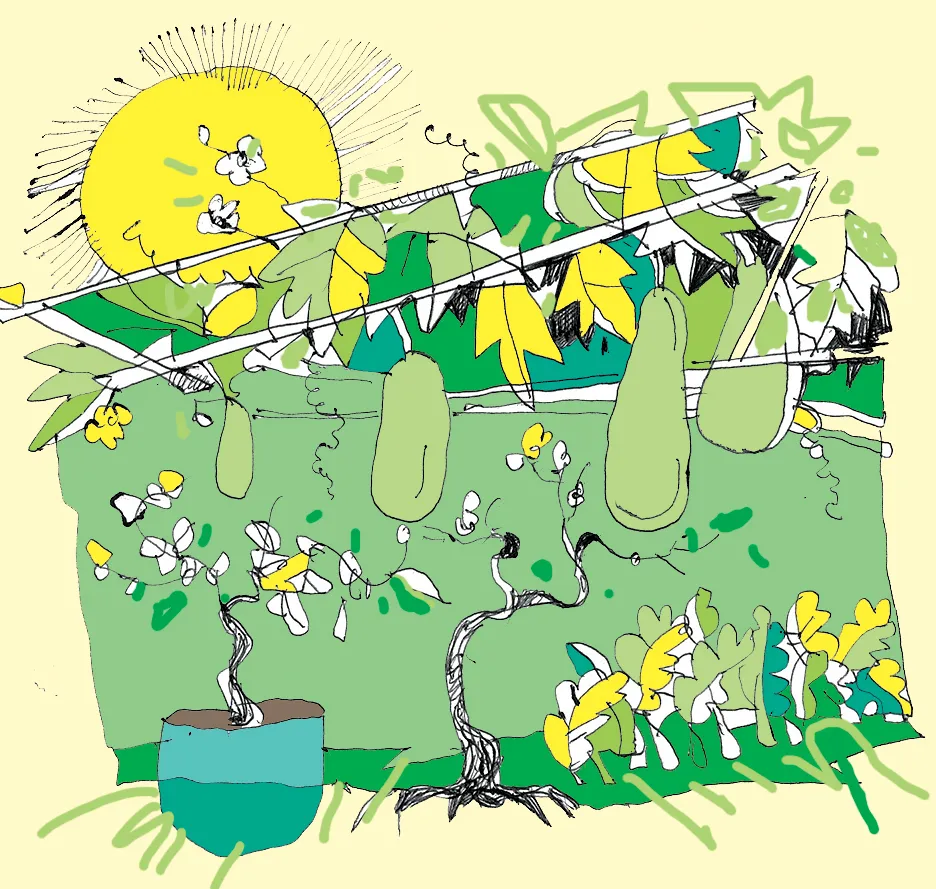 Vườn xưa  thân quen ảnh 1