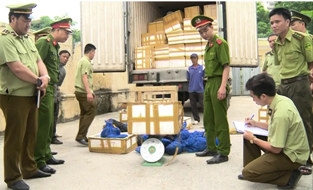 Giấu 31 cá thể tê tê trong xe chở hàng hải sản mang đi tiêu thụ ảnh 1