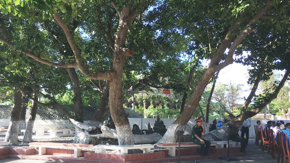 Tô màu xanh cho đảo đá ảnh 1