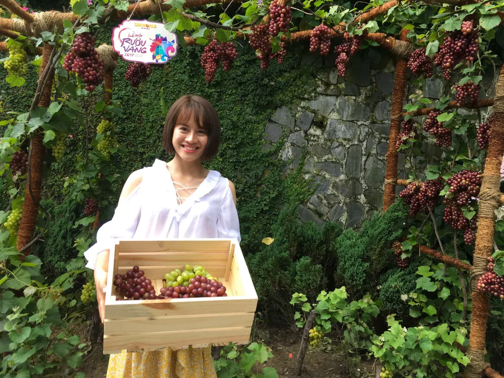 Ngất ngây trong không gian sôi động của Lễ hội rượu vang Sun World Ba Na Hills ảnh 1