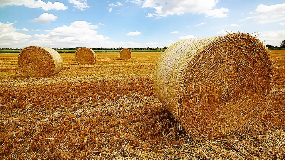 Nền kinh tế xanh từ sản xuất năng lượng sạch  ảnh 1