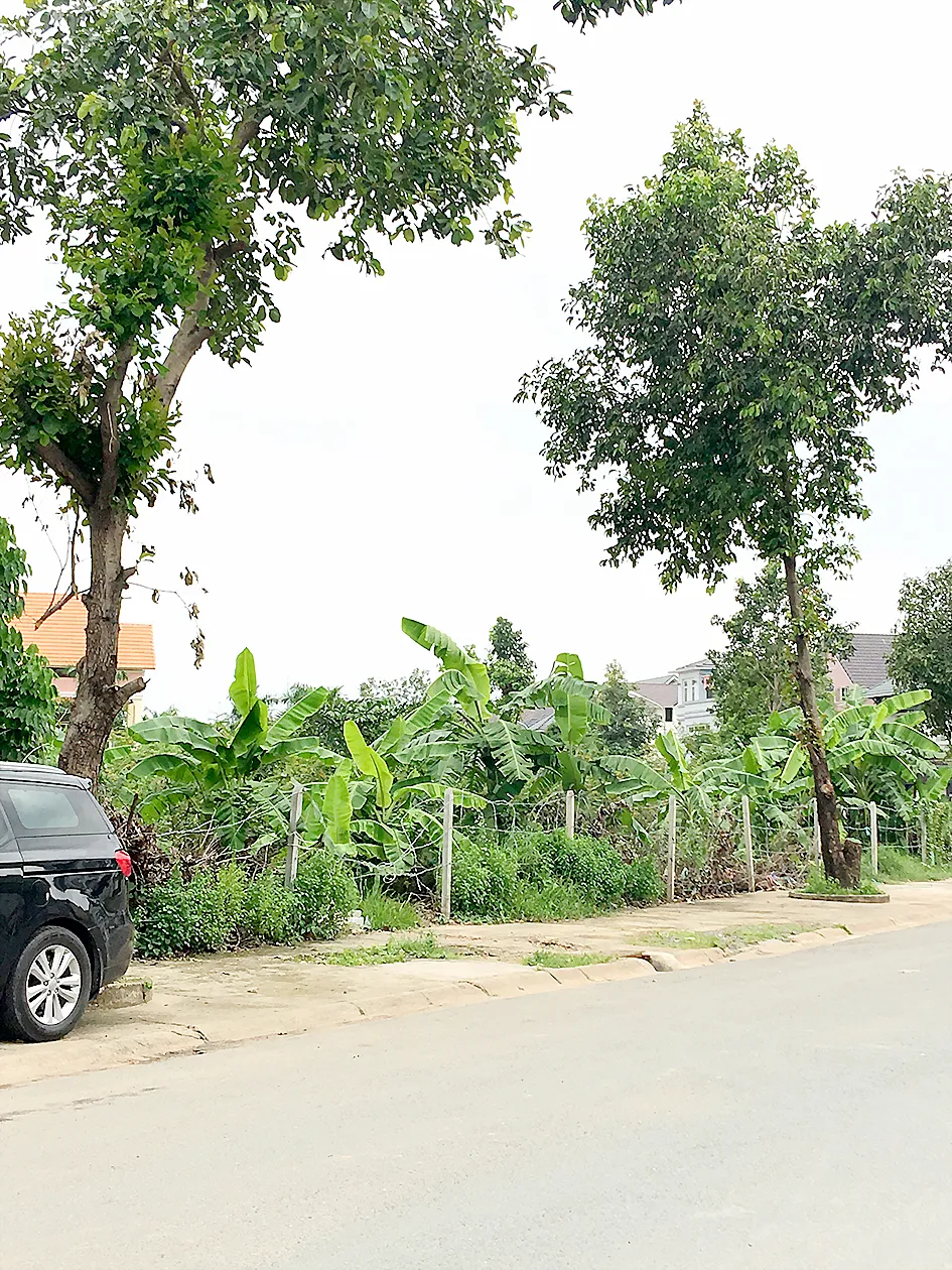 Biến đất công viên thành chung cư ảnh 1